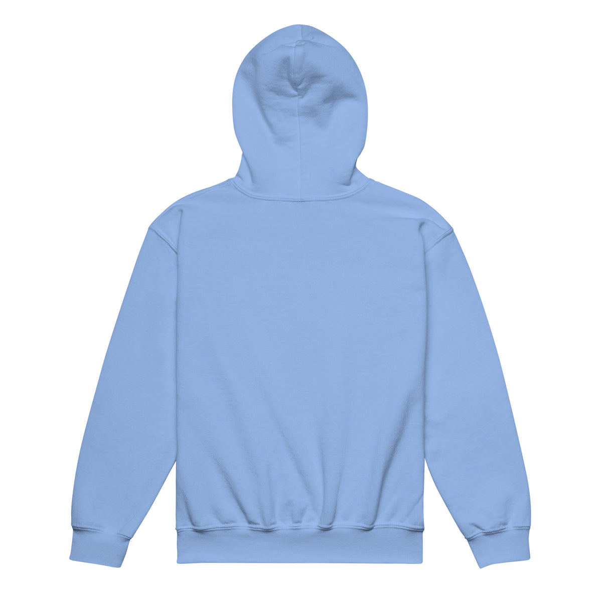 Renegade Kids Heavy-Blend Hoodie in Carolina-Blau – Rückansicht