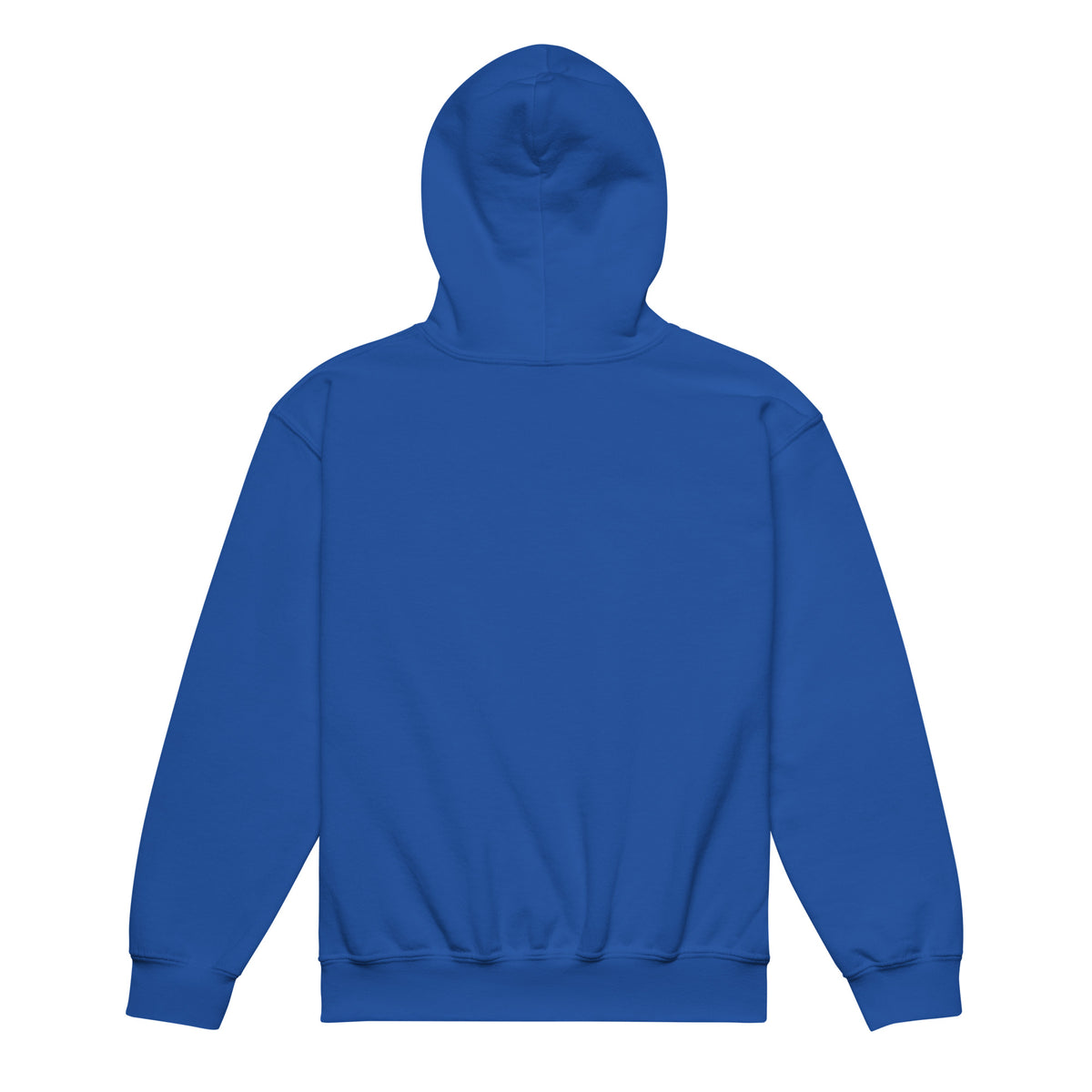 Renegade Kids Heavy-Blend Hoodie in Royal – Rückansicht